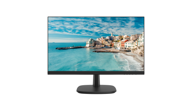 Hikvision DS-D5024FN — 23.8 inch FHD Borderless Monitor